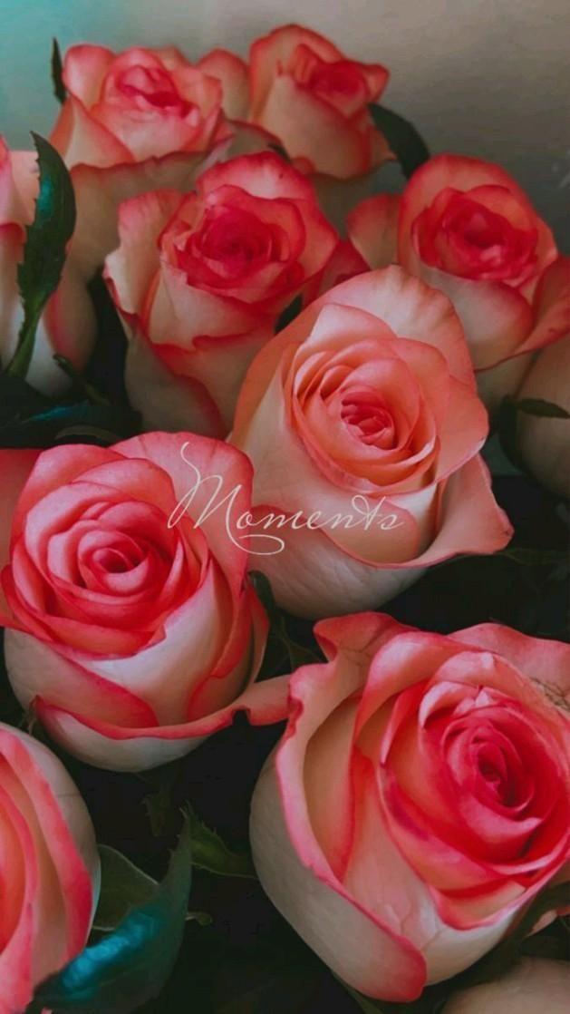 Quill Haven Wander workshop space where corporate flower arrangements are designed and prepared for business delivery